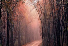 买世界杯app -许昕亲授直板反手拧拉！重心下沉趴台面，发力稳准不失误