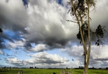 世界杯买球app -紫光股份有限公司