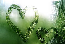 买世界杯app网站 -国乒樊振东亲授：反手拧拉秘诀，捏飞盘式发力，新手也能零失误