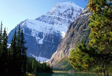 买世界杯app网站 -国乒樊振东亲授：反手拧拉秘诀，捏飞盘式发力，新手也能零失误