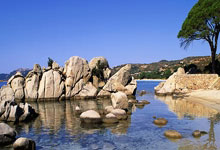 世界杯买球app -特朗(lǎng)普：伊朗(lǎng)允许10艘油(yóu)轮通行霍尔木兹海(hǎi)峡，以此作为一份“礼物”